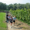 1182702741_weinbergslauf2005_028