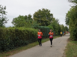 WBL_SteKra_051